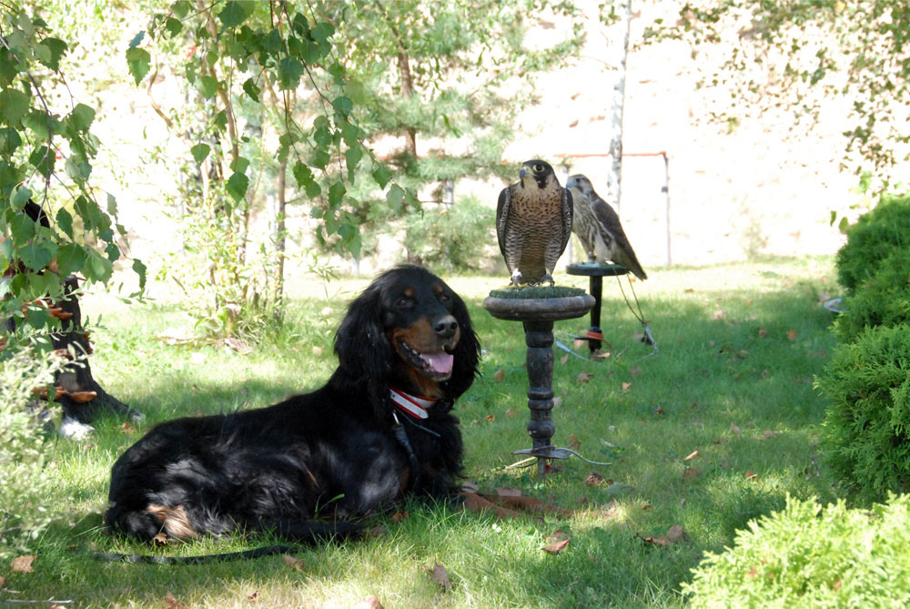 кубок канала охотник и рыболов kubok9.jpg